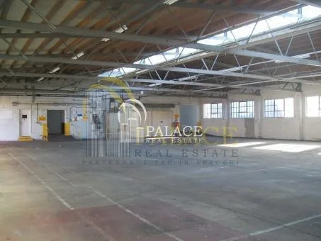 Palace Real Estate