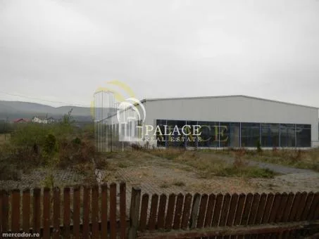 Palace Real Estate