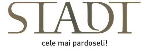 Comercializare si montaj pardoseli profesionale - parchet stratificat - Cluj Napoca