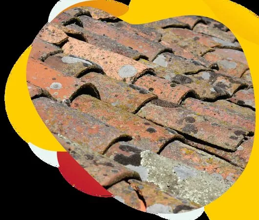 Montaj si reparatii - Bucuresti si Ilfov