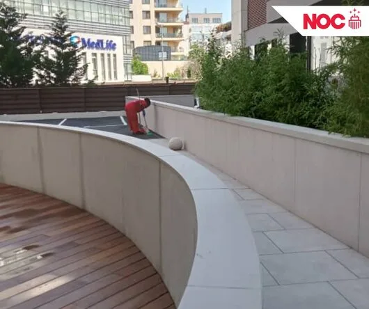 The Cleaning Company - Servicii de curatenie - Bucuresti