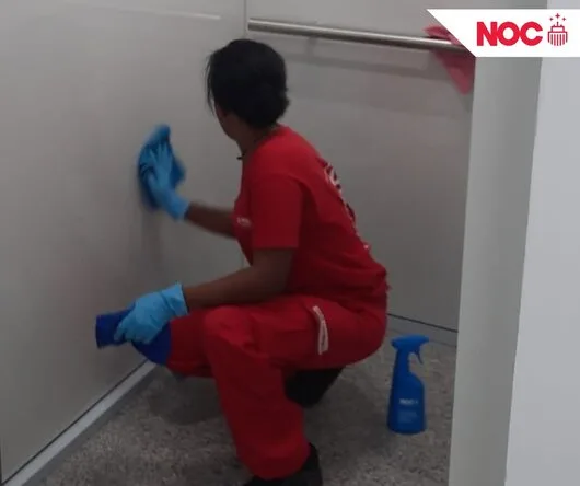 The Cleaning Company - Servicii de curatenie - Bucuresti