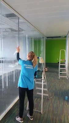 Axa Cleaning Services firma de curatenie din Bucuresti si Ilfov
