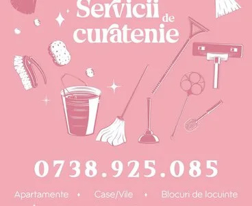 Servicii profesionale de curatenie - Bucuresti