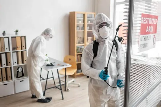 Specialisti in Dezinsectie - Deratizare si Dezinfectie