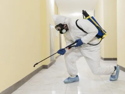 Specialisti in Dezinsectie - Deratizare si Dezinfectie
