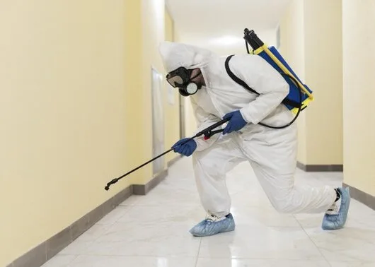 Specialisti in Dezinsectie - Deratizare si Dezinfectie