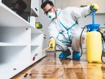 Deratizare - dezinsectie - dezinfectie Non Stop - Bucuresti