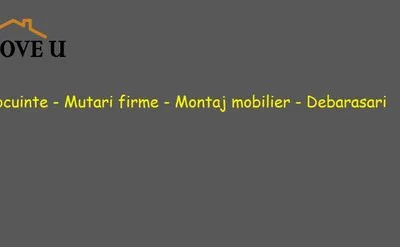 Mutari locuinte - firme
