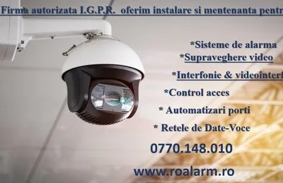 Sisteme de securitate profesionale