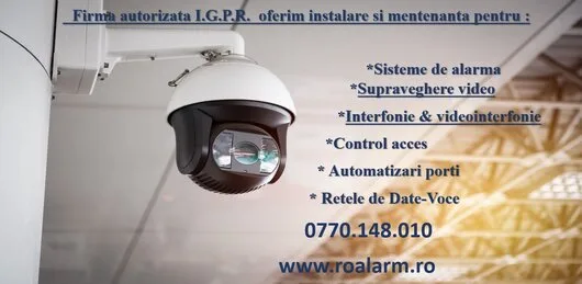 Sisteme de securitate profesionale