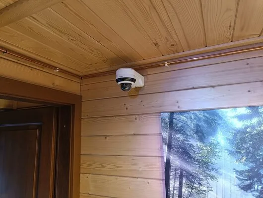 Sisteme de securitate profesionale