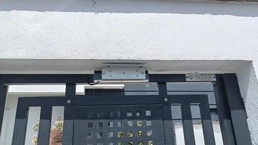 Sisteme de securitate profesionale