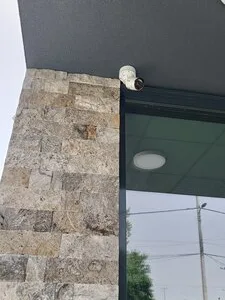 Sisteme de securitate profesionale