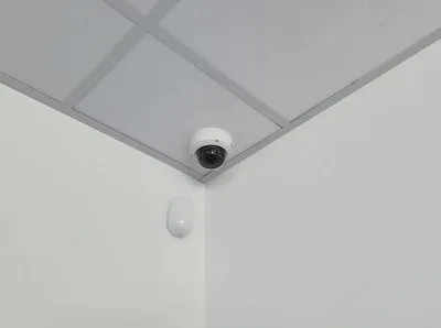 Sisteme de securitate profesionale