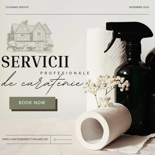 Servicii de curatenie Bucuresti