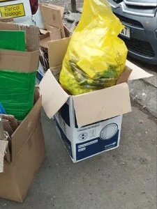 Colectare deseuri periculoase