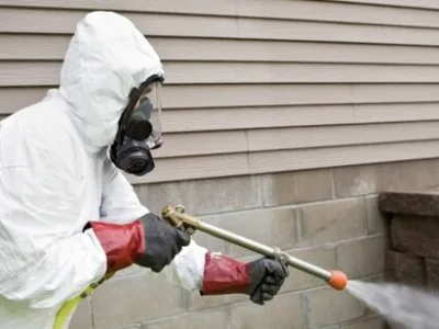 Administrare imobile - Servicii curatenie si DDD - Bucuresti