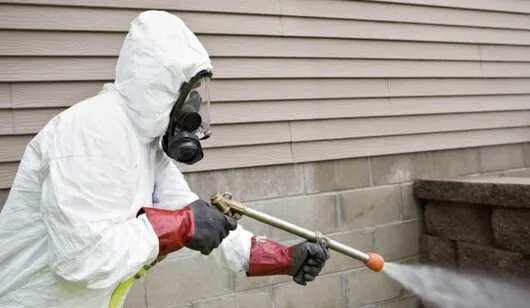 Administrare imobile - Servicii curatenie si DDD - Bucuresti