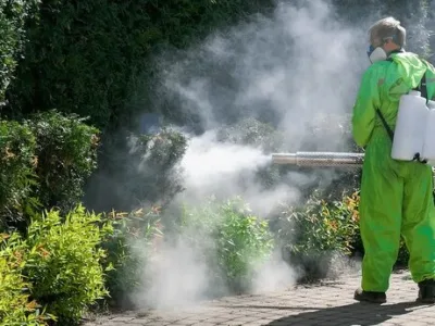 Administrare imobile - Servicii curatenie si DDD - Bucuresti