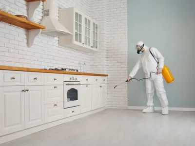 Contracte DDD - Dezinsectie Bucuresti