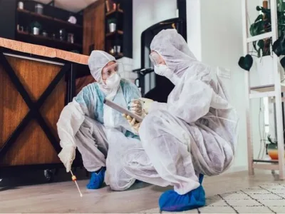 Contracte DDD - Dezinsectie Bucuresti