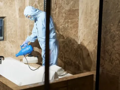 Contracte DDD - Dezinsectie Bucuresti