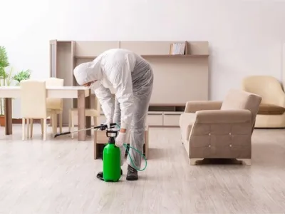 Contracte DDD - Dezinsectie Bucuresti