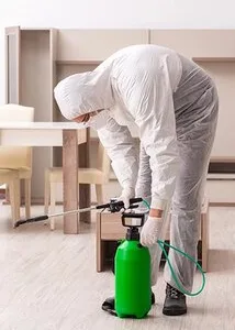 Contracte DDD - Dezinsectie Bucuresti