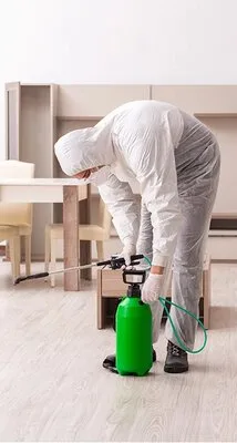 Contracte DDD - Dezinsectie Bucuresti