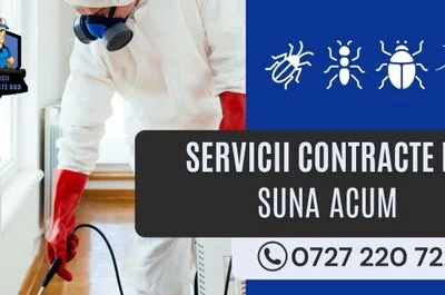 Contracte DDD - Dezinsectie Bucuresti