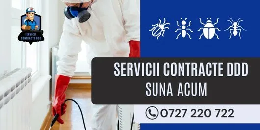Contracte DDD - Dezinsectie Bucuresti