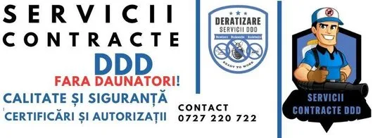 Contracte DDD - Dezinsectie Bucuresti