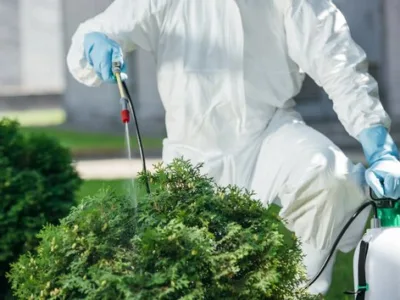 Contracte DDD - Dezinsectie Bucuresti