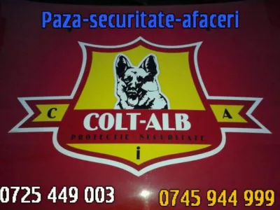 COLT ALB Security