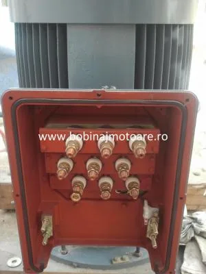 Bobinaj motoare electrice