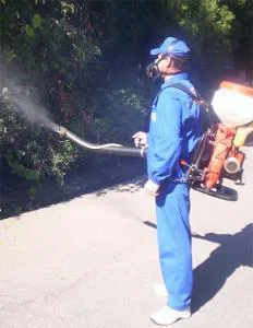 Servicii DDD Bucuresti