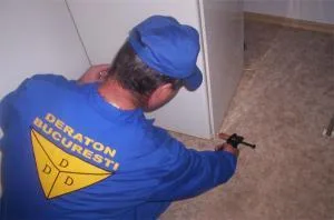 Servicii DDD Bucuresti