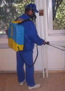 Servicii DDD Bucuresti