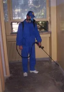 Servicii DDD Bucuresti