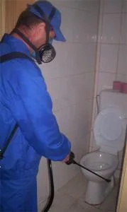 Servicii DDD Bucuresti