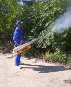 Servicii DDD Bucuresti