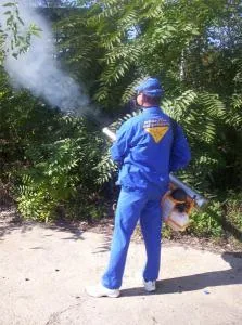 Servicii DDD Bucuresti