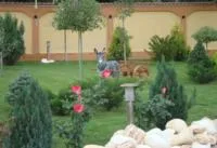 Maracineni / Arges - Amenajare gradini