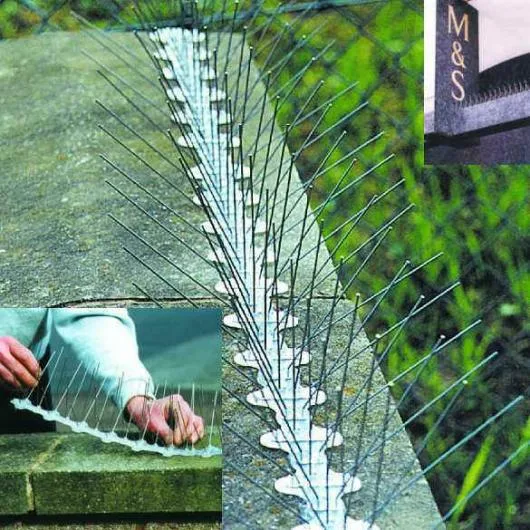 Deratizare - dezinsectie - Dezinfectie ,Bucuresti si Ilfov