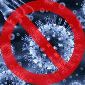 Deratizare - dezinsectie - Dezinfectie ,Bucuresti si Ilfov