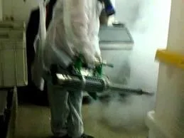 Deratizare - dezinsectie - Dezinfectie ,Bucuresti si Ilfov