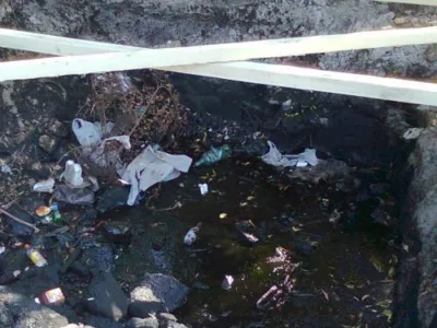 EcoQuality Services