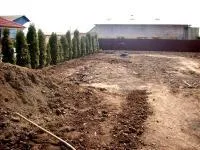 Piatra Neamt - Proiectare si amenajare spatii verzi