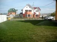 Piatra Neamt - Proiectare si amenajare spatii verzi